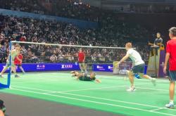 开云体育登录-关于排球明星林丹将晋级的信息