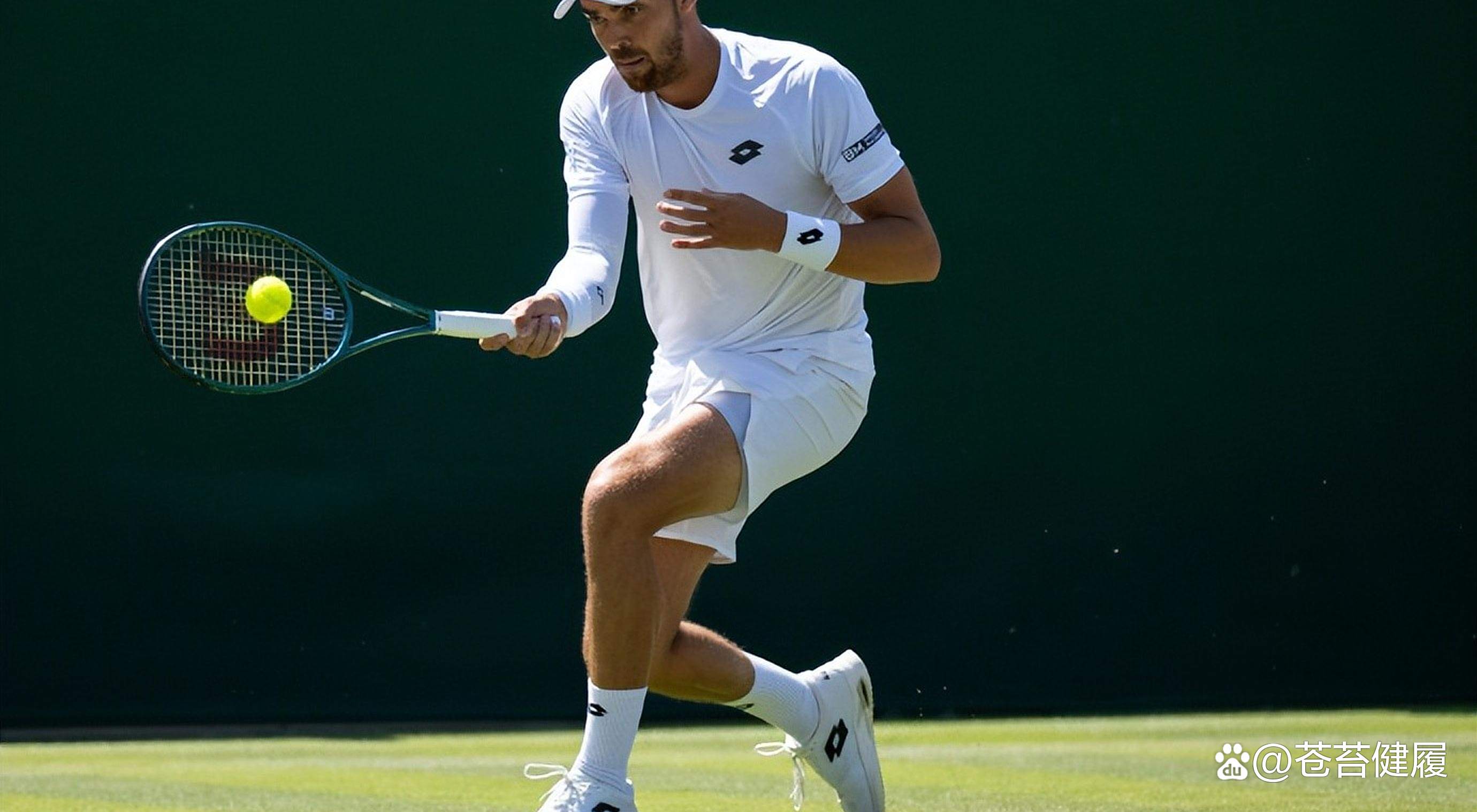 关于西班牙网球队爆冷日本网球队，梅德韦杰夫爆发神勇的信息